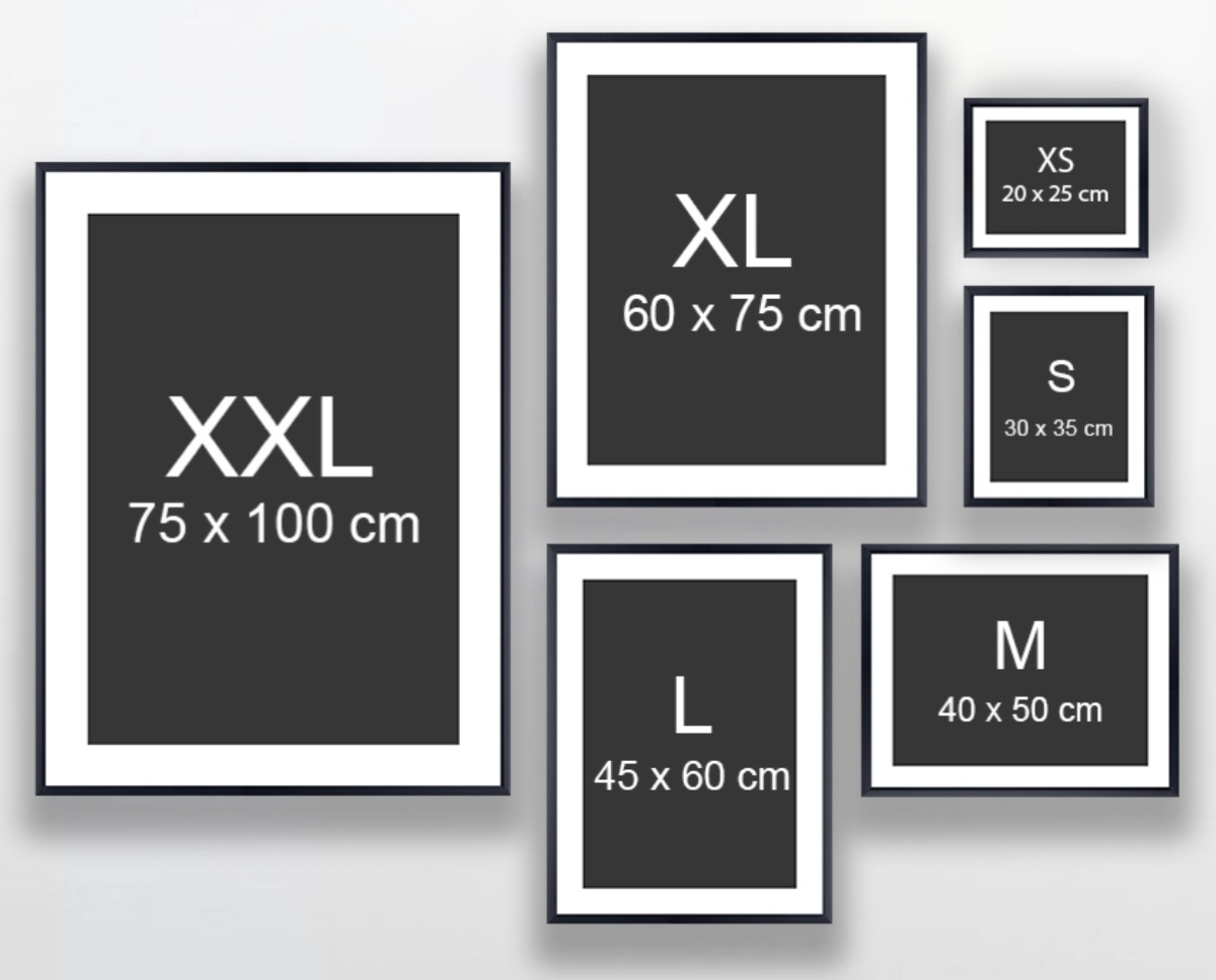 相框尺寸对比图，从XS到XXL